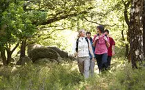 Urlaub im Emsland - Sögel