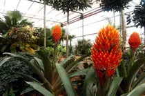 Urlaub im Emsland - Emsbüren